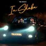 دانلود آهنگ این شبا از تاک داون